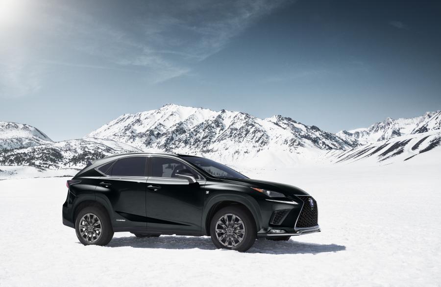  Lexus NX300 F-Sport Black Line 2019 года  (NA) (фото 6 из 9)